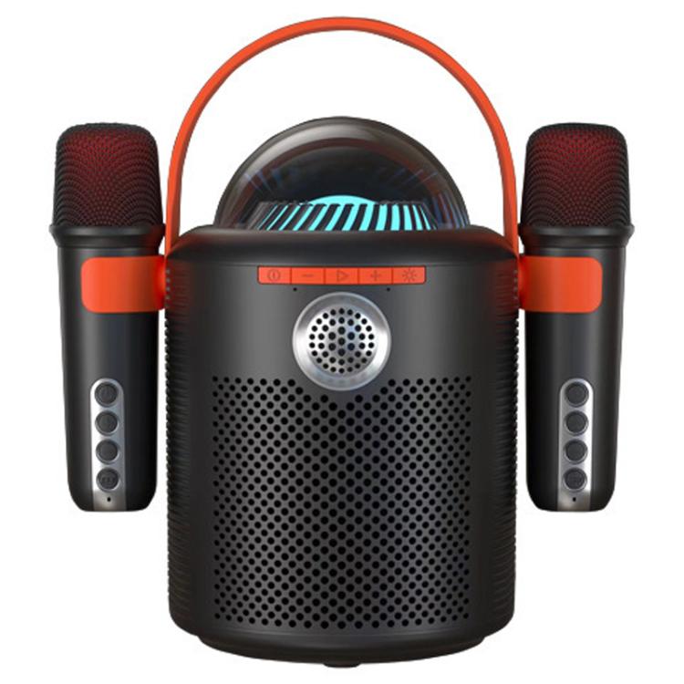 Lebo Y11 Outdoor Portable Wireless Karaoke Dual Microphone Bluetooth Speaker(Black) - Desktop Speaker by buy2fix | Online Shopping UK | buy2fix