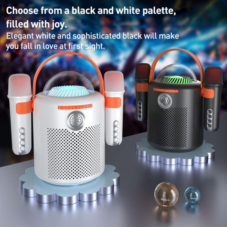 Lebo Y11 Outdoor Portable Wireless Karaoke Dual Microphone Bluetooth Speaker(Black) - Desktop Speaker by buy2fix | Online Shopping UK | buy2fix