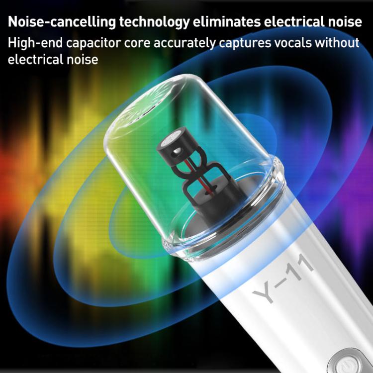 Lebo Y11 Outdoor Portable Wireless Karaoke Dual Microphone Bluetooth Speaker(Black) - Desktop Speaker by buy2fix | Online Shopping UK | buy2fix