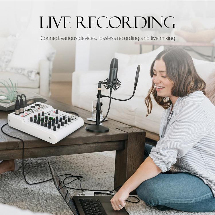 DEBRA PRMX-6 4-Channels Audio Mixer DSP Reverb for Live Recording(US Plug) - Live Sound Effects Processors by DEBRA | Online Shopping UK | buy2fix