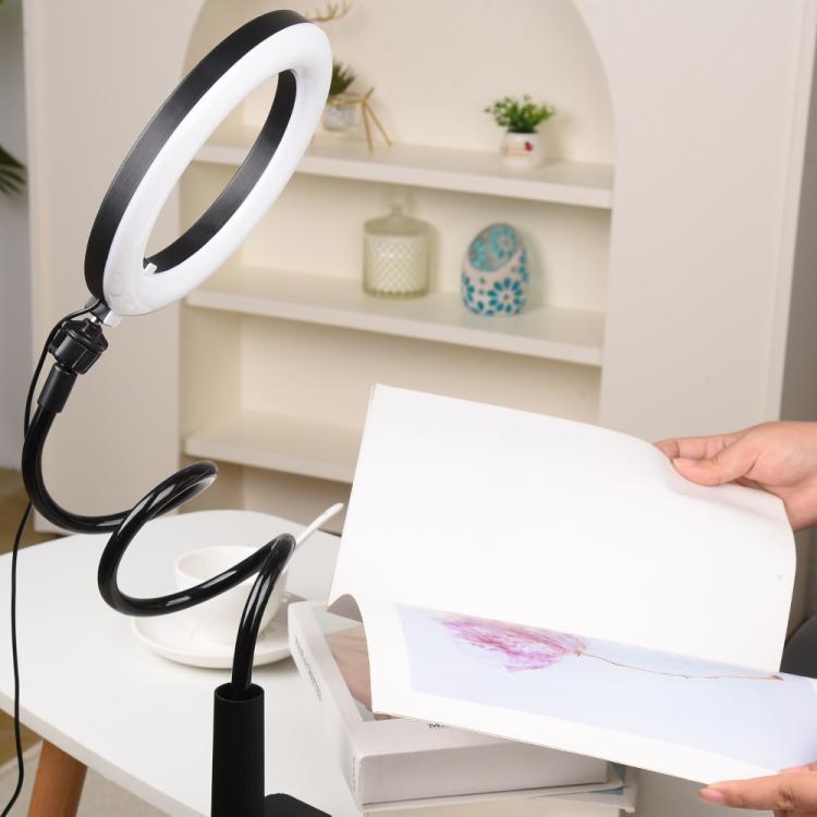 10 inch Striped Selfie Live Streaming Photography Lazy Stand LED Ring Fill Light Set(White) - Ring Light by buy2fix | Online Shopping UK | buy2fix