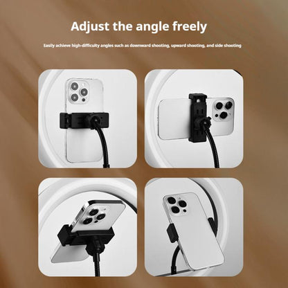 10 inch Striped Selfie Live Streaming Photography Lazy Stand LED Ring Fill Light Set(White) - Ring Light by buy2fix | Online Shopping UK | buy2fix