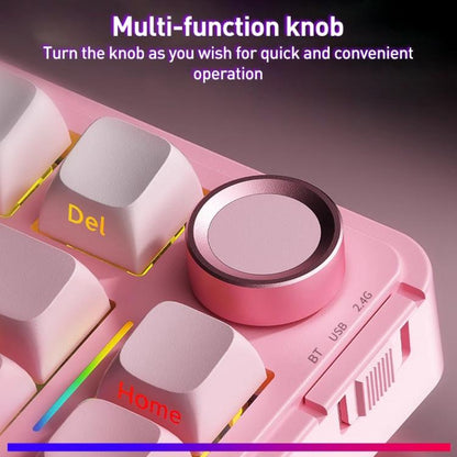 EDA0085751_B6.jpg@49126800824c2177b63470fb90bd26e8