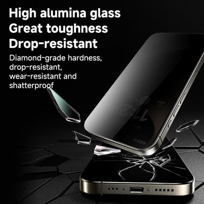 For iPhone 16 Pro Max REMAX Future Ultra-Soft Series WL-03 Privacy Tempered Glass Film - iPhone 16 Pro Max Tempered Glass by REMAX | Online Shopping UK | buy2fix