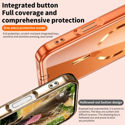 EDA0086719_B4.jpg@4ad0cf3211404a1aefb34f56bc915baf