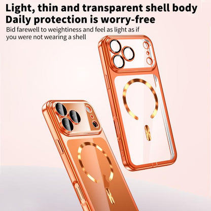 EDA0086719_B8.jpg@e8eaf5ed3f8ccfa59f32328d5c928f93