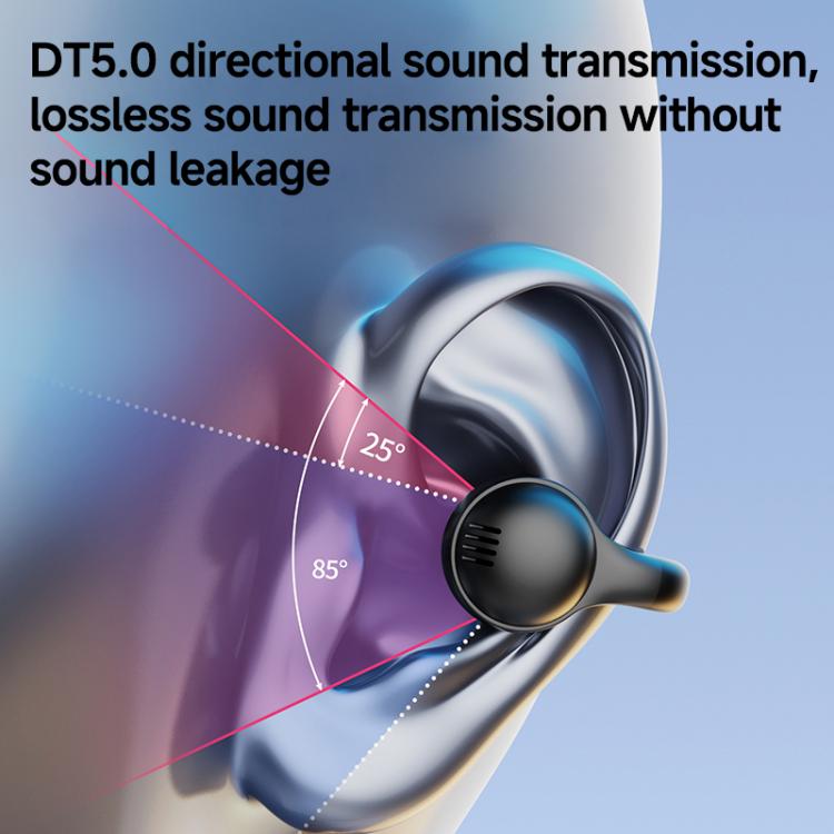 EDA0087404_B3.jpg@a078a6c4800d1dade5590ef369e1c740