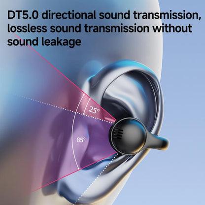 EDA0087404_B3.jpg@a078a6c4800d1dade5590ef369e1c740