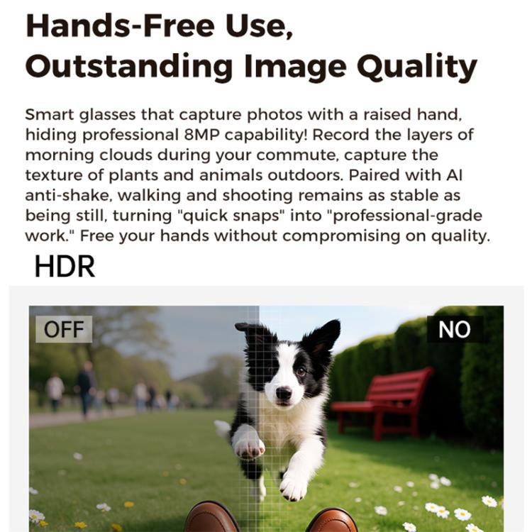 EDA0088168_B9.jpg@db5dceddc418e6f38bccf80c67cba535