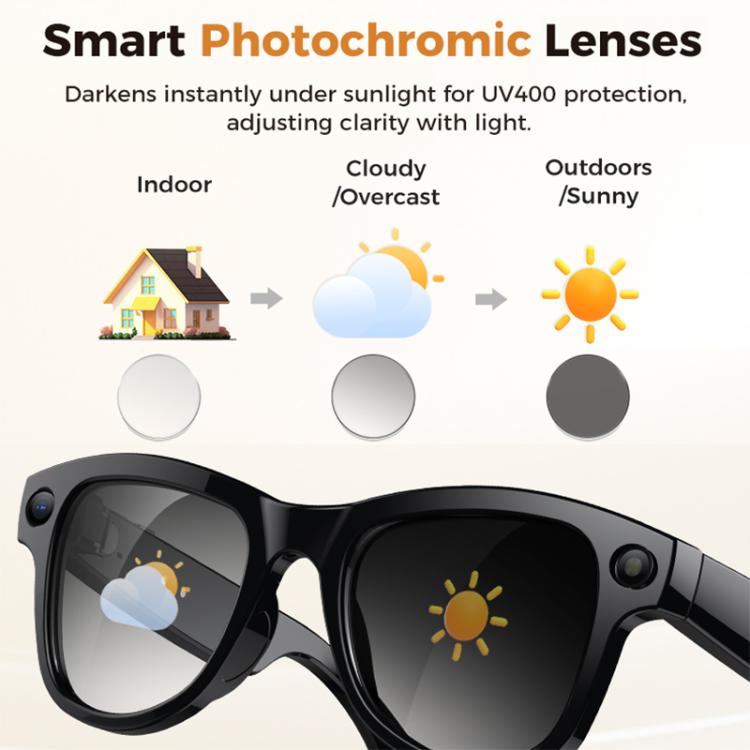 EDA0088169_B14.jpg@c34de2895b53b7f21b90e43db9b6d121