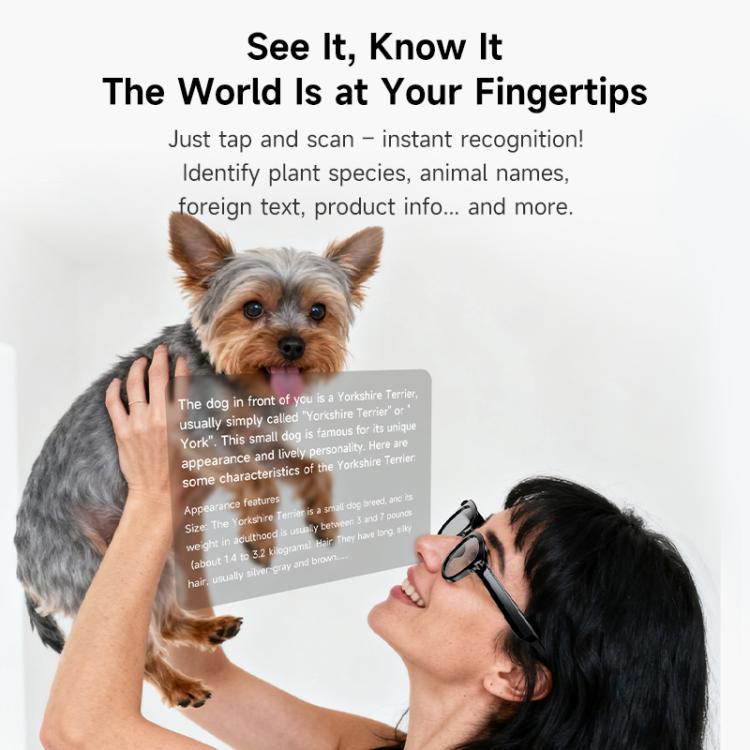 EDA0088547_B10.jpg@62103ce18bb6bb588e4d7497b58b69e1