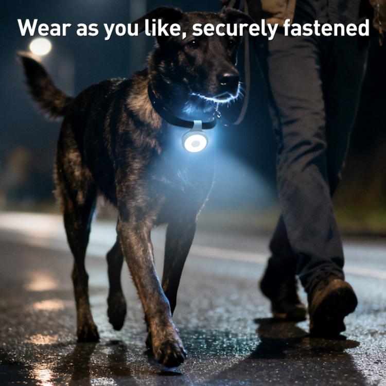 EDA0088561_B6.jpg@bf6d8313dd19dec789b55e1476fc17d6