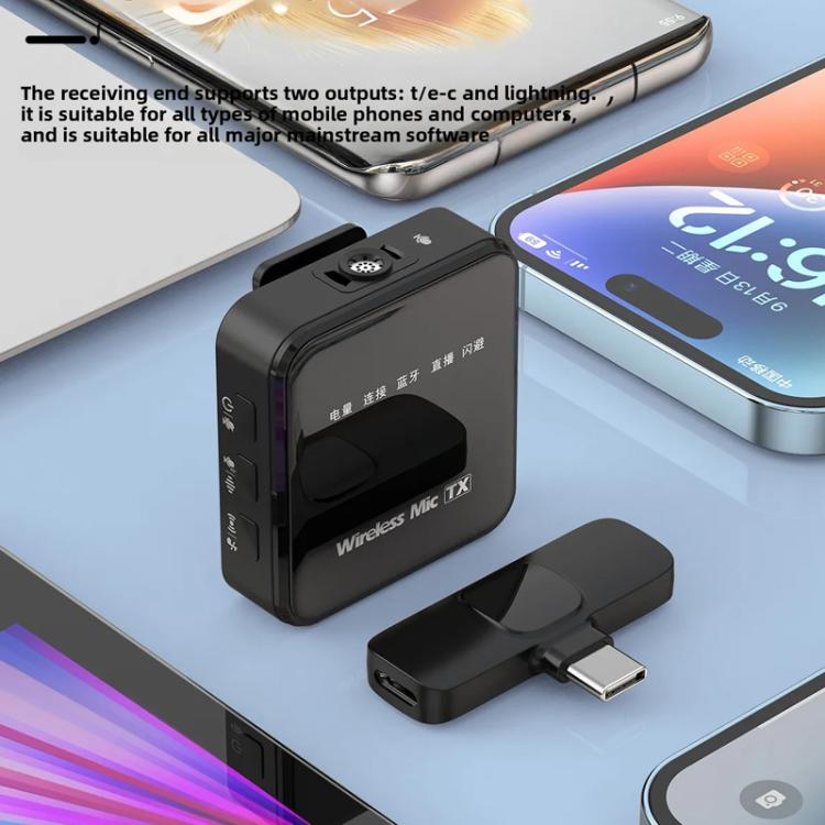 EDA0088629_B15.jpg@9b6ff846939dc509d9475691725b66b6