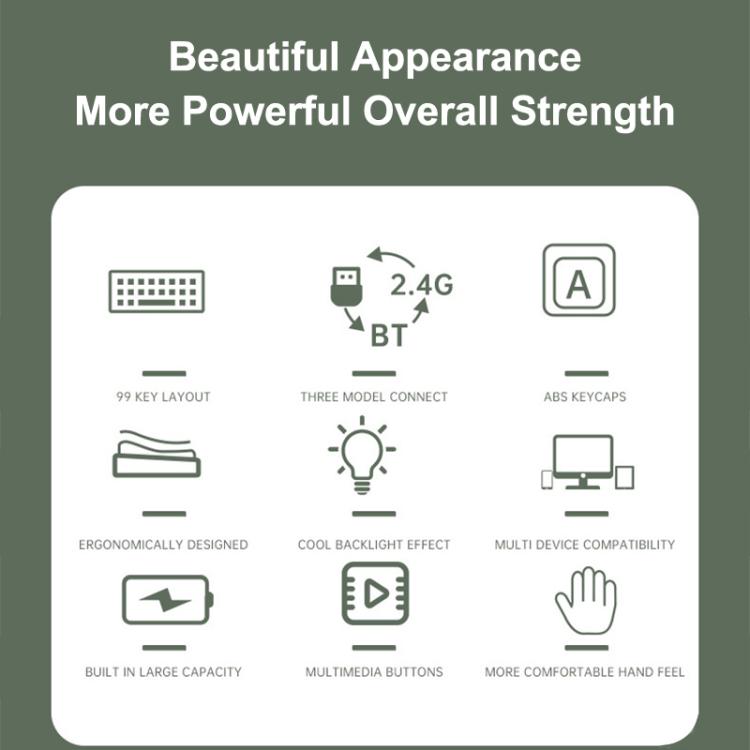 EDA0088719_B2.jpg@212fa845ac9c24a7332a62408b78d71f