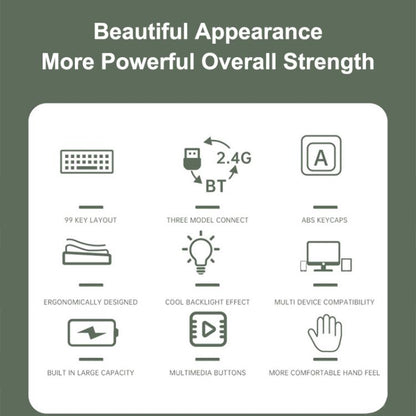 EDA0088719_B2.jpg@212fa845ac9c24a7332a62408b78d71f