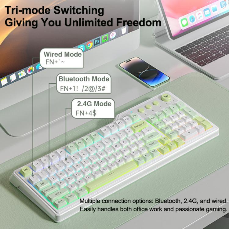 EDA0088719_B5.jpg@0d77f54aee44f1703c4aef64f27aa9fa