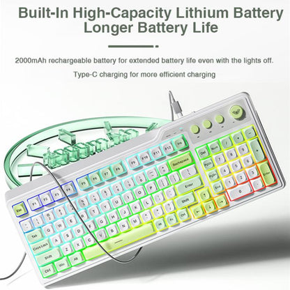 EDA0088719_B6.jpg@d10fdb0bd79e8146722f90dd328ab40e