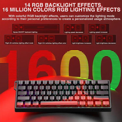 EDA008874101A_6.jpg@d4bb0f11ba7e60b2ee3e23f7561920c0