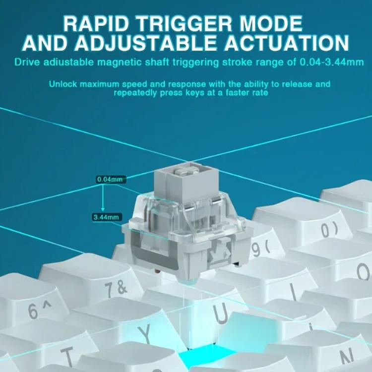 EDA008878701A_2.jpg@5668da93e7800777898652c14ebcacc0