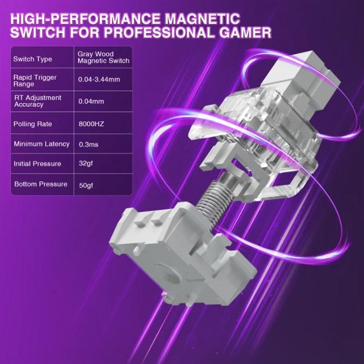 EDA008879801A_3.jpg@a74b35bd0c5b38a5e62620a2c3499ac6