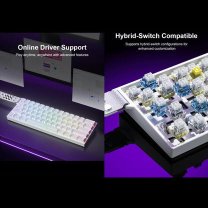 EDA0088877_B6.jpg@f06ee9463fab926135427fd80fdfdb0f