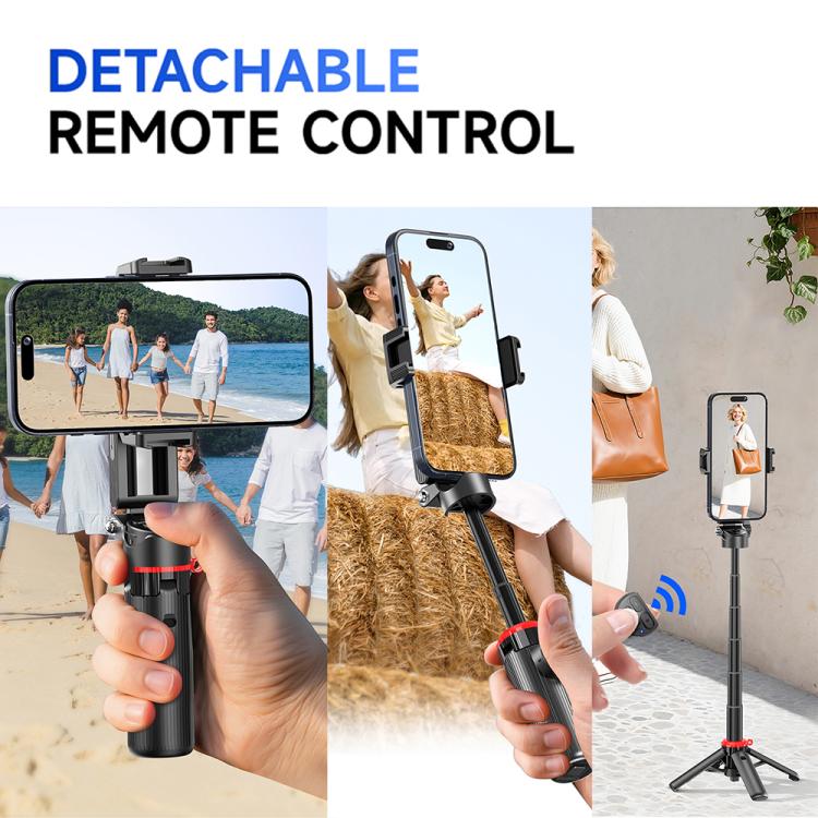 EDA0088932_B8.jpg@cbd14e6fdbb12f81eeda859d00418f26