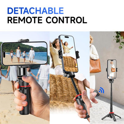 EDA0088932_B8.jpg@cbd14e6fdbb12f81eeda859d00418f26