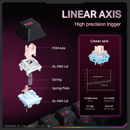 EDA008900301A_8.jpg@16d3ad4993180f929d4614b06f4250ec