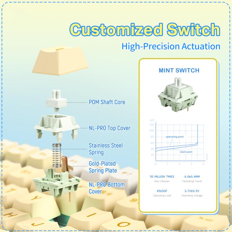 EDA008900601B_8.jpg@ce737470d14469a3cdf28d5c8a42b246