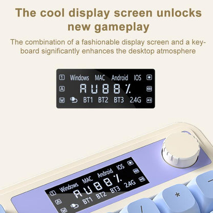 EDA0089442_B5.jpg@ab9e3dade2923fbd157d1ac6d0c4681b