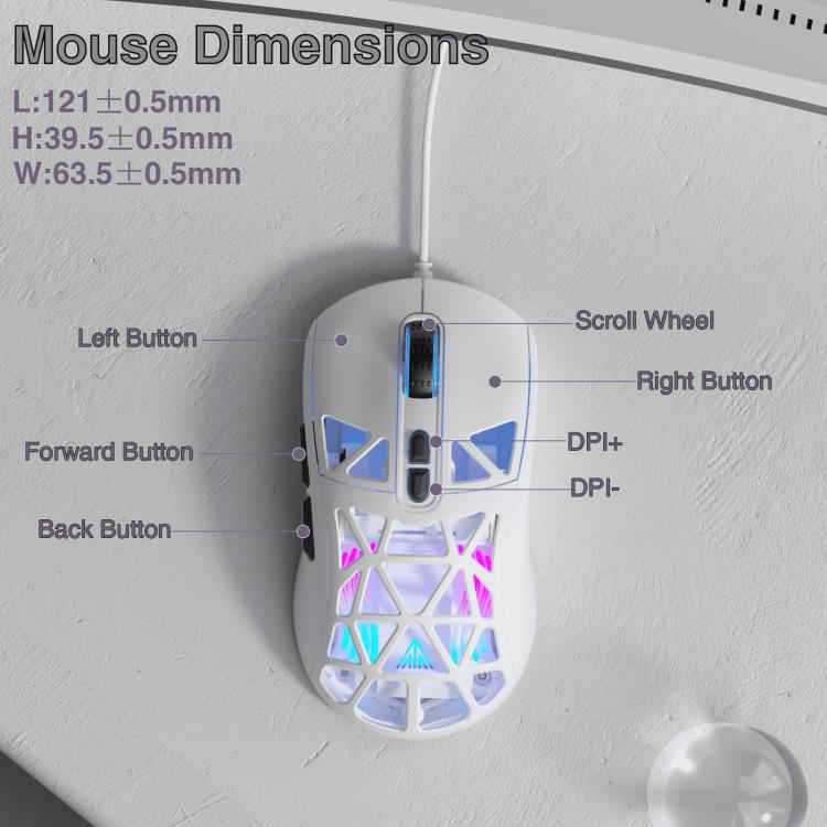 EDA008966101A_2.jpg@304c6439382752df17bc4db90661945a