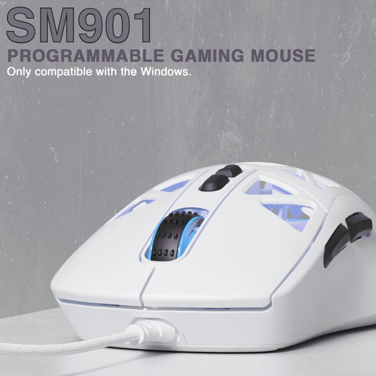 EDA008966101A_5.jpg@baeb3692b60a0310226f1cbdb9676f93