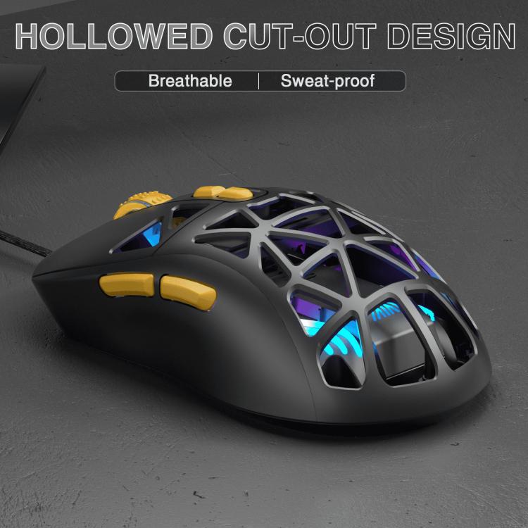 EDA008966101B_3.jpg@f595d08d1a15653f8871796f6310e552