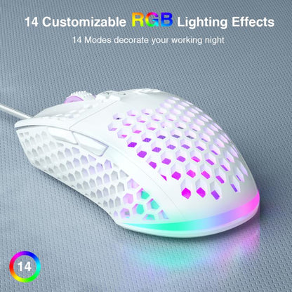 EDA008966901A_5.jpg@9a521c5718bc7386a68028f122e4c3d0