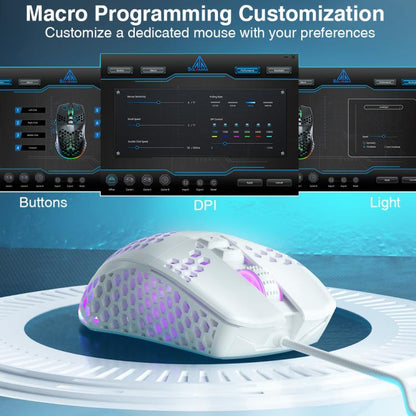 EDA008966901A_6.jpg@b44b8618bd5735d3fa0330d0f2ac7718