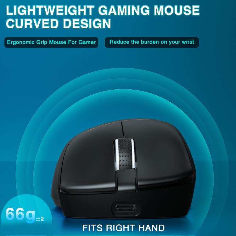 EDA008967701B_4.jpg@cc7ff0496a4167111a4c4530b7e94520