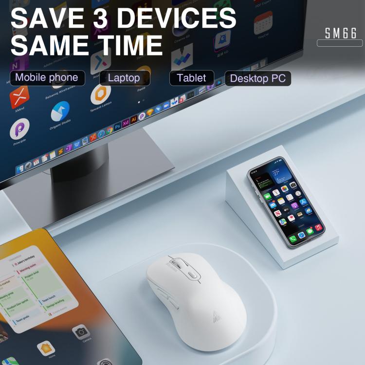 EDA008968601A_2.jpg@4e216ea629291c1635e011f1033b9fa9