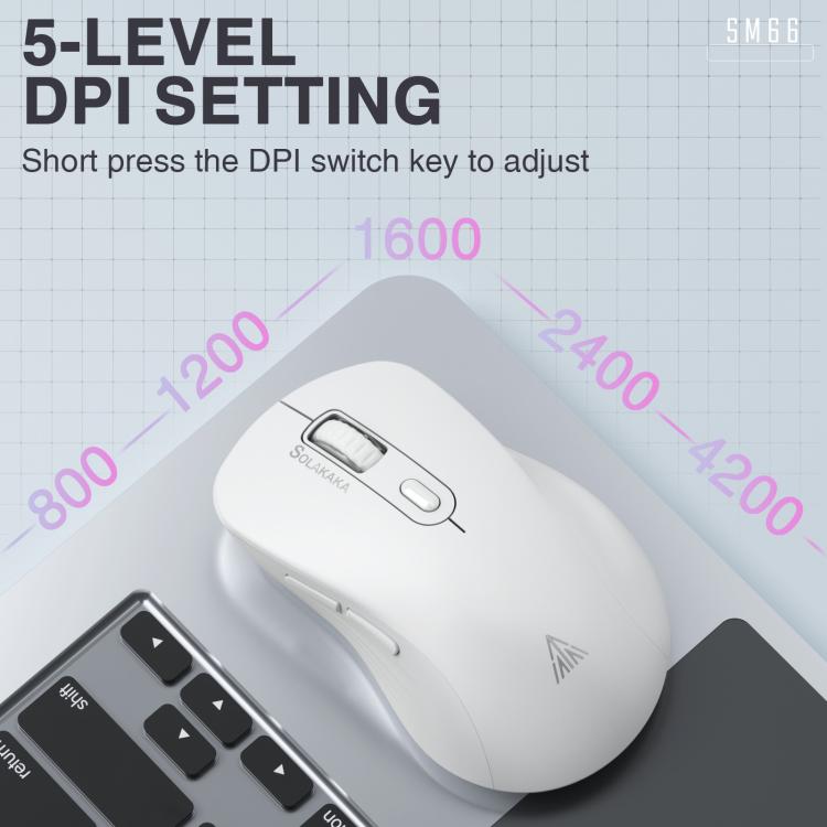 EDA008968601A_3.jpg@0359f7760923152d0e9b4f1d2147516e