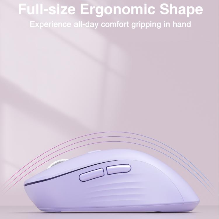 EDA008968601E_5.jpg@cd00872e53907f4e2b3d43ff83046ab3