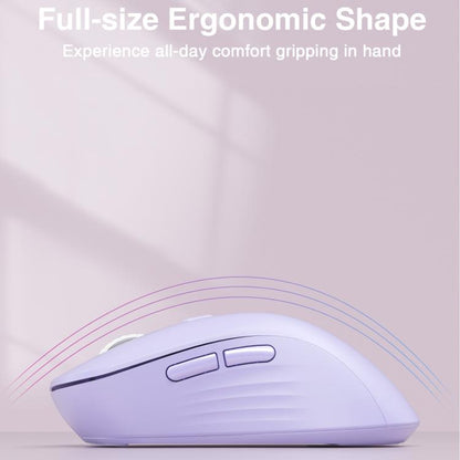 EDA008968601E_5.jpg@cd00872e53907f4e2b3d43ff83046ab3