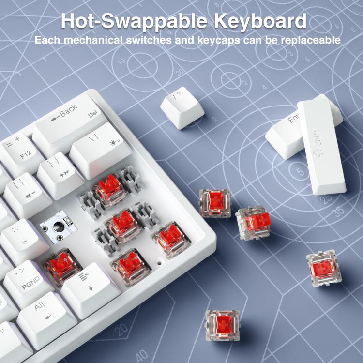 EDA008969701B_4.jpg@5de130583bc75cf0961249d3f91f3d9d