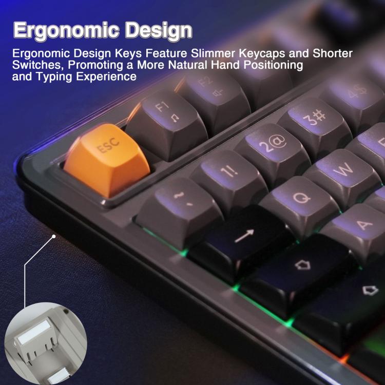 EDA008970701A_4.jpg@4539d36b28949c61c8219afe4c81f0b5