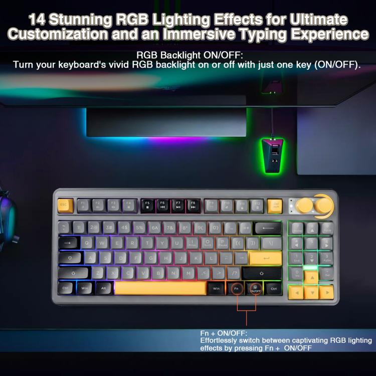 EDA008970701A_5.jpg@656a3e8e6d0c0c12ad1c14984dfc8259