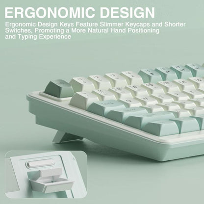 EDA008970701B_4.jpg@07ffaa1df1a0a552d6334c3f2e1352e7