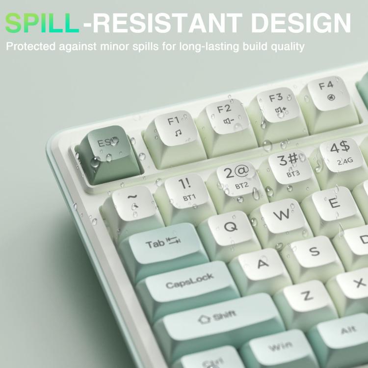 EDA008970701B_7.jpg@2731500b5d717396a45e8241f273f6ce