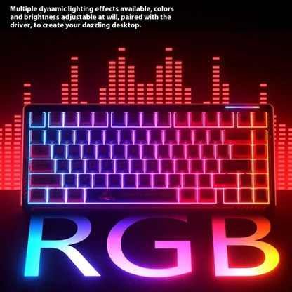 EDA0089722_B13.jpg@67891a853a3c2a43d3bb23c74040897c