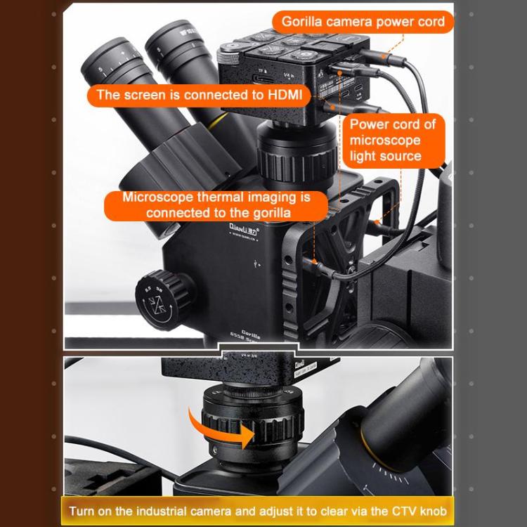 EDA0089873_B7.jpg@dfef400bb874eda9fbd7bbac9bb035d5