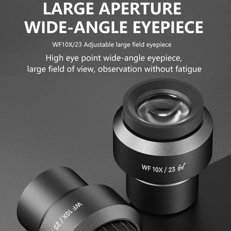 EDA0089960_B3.jpg@00cabad8c3de1fe0590c292cf32d749d