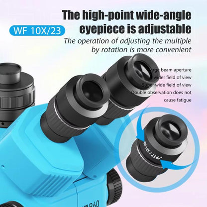 EDA0089976_B2.jpg@c0c8873b0fd35faff183df6749e72cce