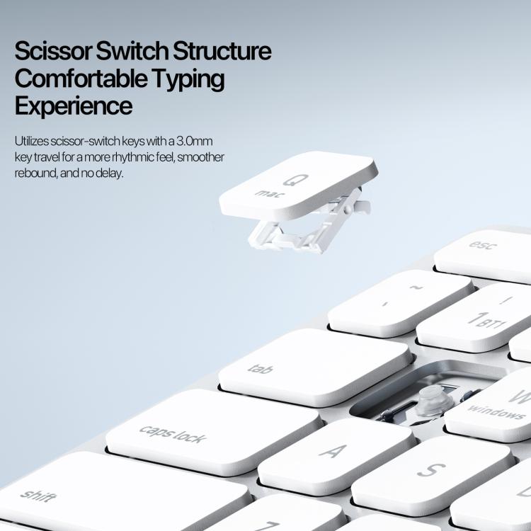 EDA009019201B_8.jpg@8c649c94848f3617910bbf54337ac63f